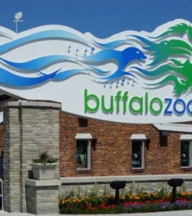 DVB-PROJECTS-Buffalo Zoo